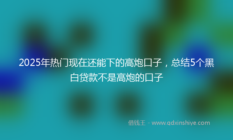 2025年热门现在还能下的高炮口子，总结5个黑白贷款不是高炮的口子