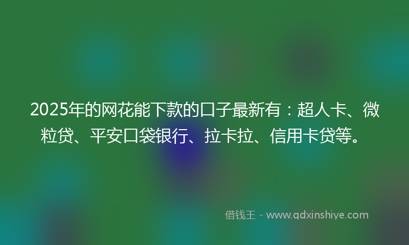 2025年的网花能下款的口子最新有：超人卡、微粒贷、平安口袋银行、拉卡拉、信用卡贷等。