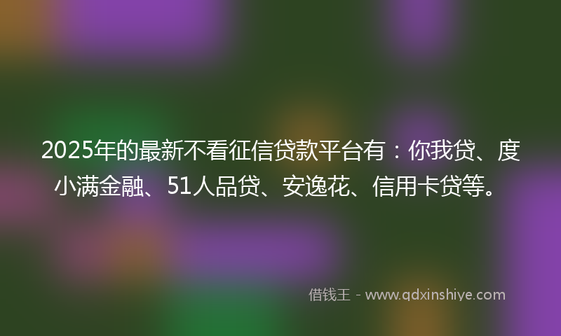 2025年的最新不看征信贷款平台有：你我贷、度小满金融、51人品贷、安逸花、信用卡贷等。