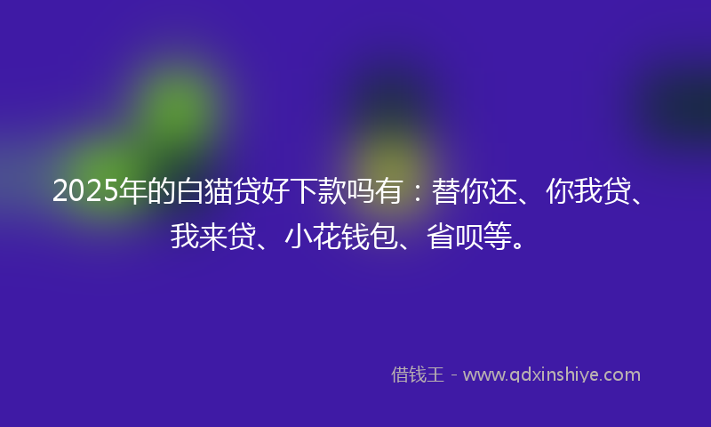 2025年的白猫贷好下款吗有：替你还、你我贷、我来贷、小花钱包、省呗等。