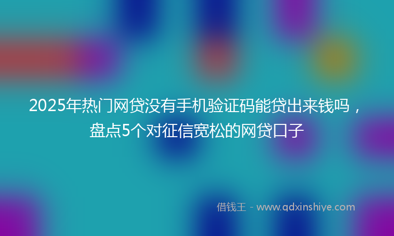 2025年热门网贷没有手机验证码能贷出来钱吗，盘点5个对征信宽松的网贷口子