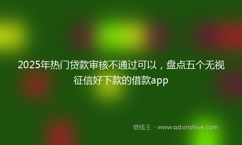 2025年热门贷款审核不通过可以，盘点五个无视征信好下款的借款app