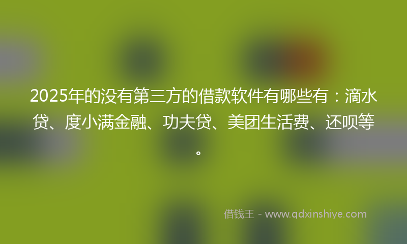 2025年的没有第三方的借款软件有哪些有：滴水贷、度小满金融、功夫贷、美团生活费、还呗等。