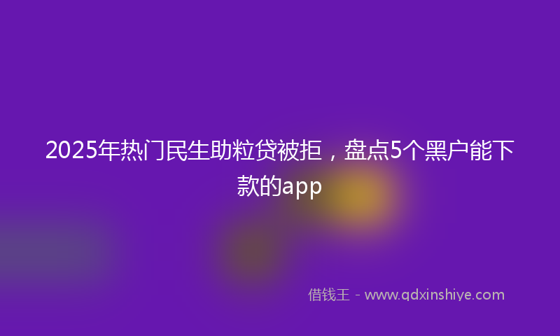 2025年热门民生助粒贷被拒，盘点5个黑户能下款的app