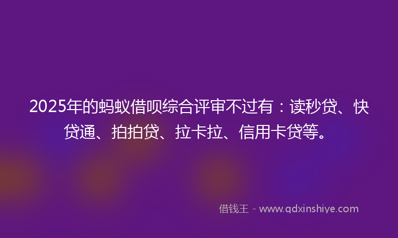 2025年的蚂蚁借呗综合评审不过有：读秒贷、快贷通、拍拍贷、拉卡拉、信用卡贷等。