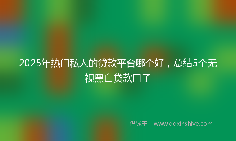2025年热门私人的贷款平台哪个好，总结5个无视黑白贷款口子