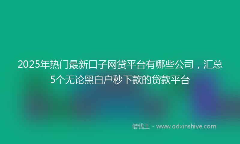 2025年热门最新口子网贷平台有哪些公司，汇总5个无论黑白户秒下款的贷款平台