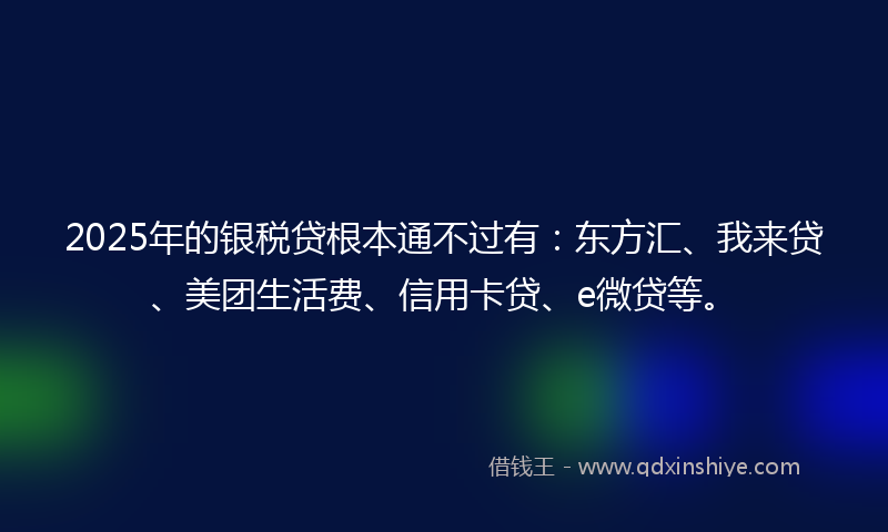 2025年的银税贷根本通不过有：东方汇、我来贷、美团生活费、信用卡贷、e微贷等。