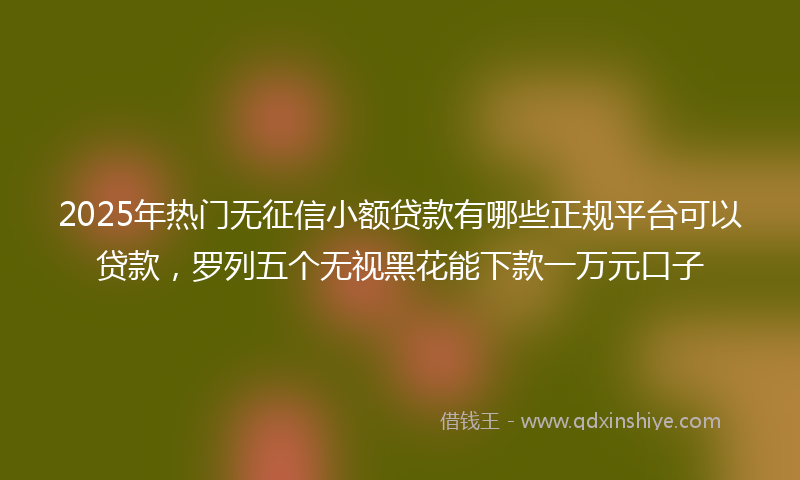 2025年热门无征信小额贷款有哪些正规平台可以贷款，罗列五个无视黑花能下款一万元口子