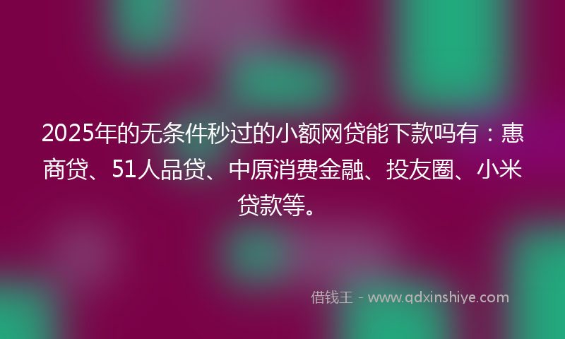 2025年的无条件秒过的小额网贷能下款吗有：惠商贷、51人品贷、中原消费金融、投友圈、小米贷款等。