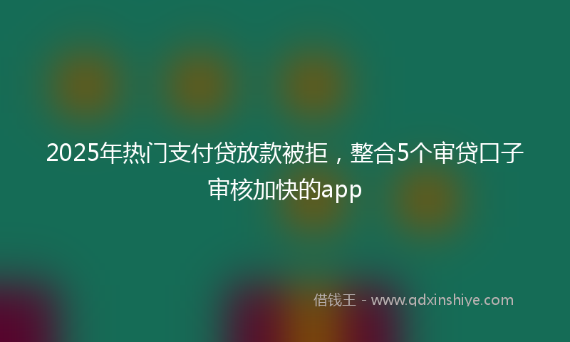2025年热门支付贷放款被拒，整合5个审贷口子审核加快的app