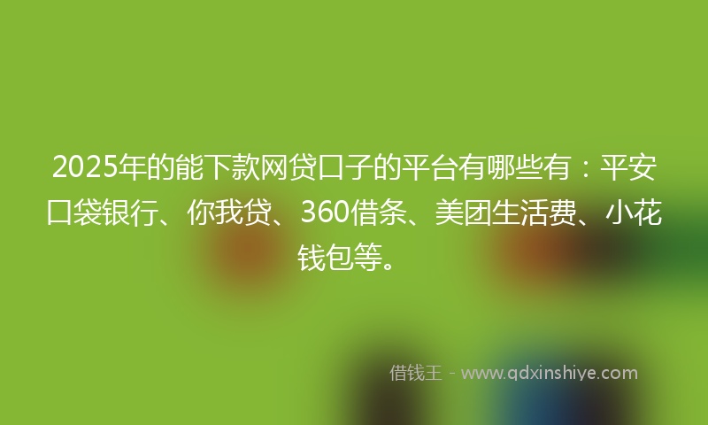 2025年的能下款网贷口子的平台有哪些有：平安口袋银行、你我贷、360借条、美团生活费、小花钱包等。