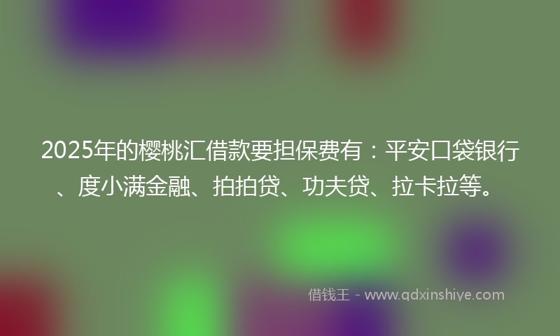 2025年的樱桃汇借款要担保费有：平安口袋银行、度小满金融、拍拍贷、功夫贷、拉卡拉等。