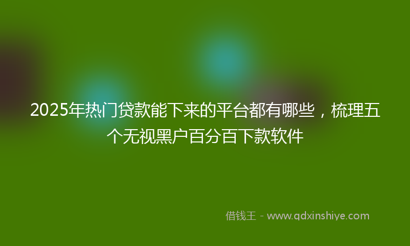 2025年热门贷款能下来的平台都有哪些，梳理五个无视黑户百分百下款软件
