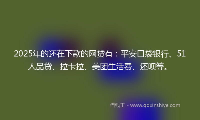 2025年的还在下款的网贷有：平安口袋银行、51人品贷、拉卡拉、美团生活费、还呗等。