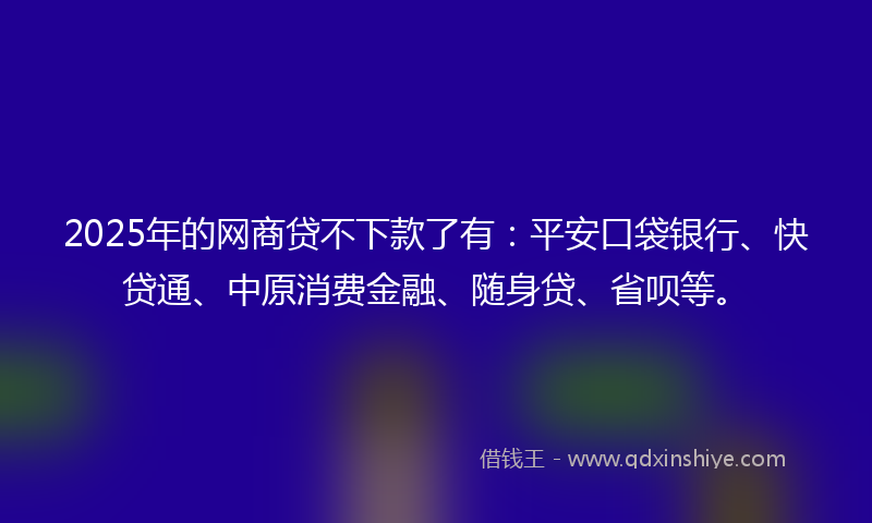2025年的网商贷不下款了有：平安口袋银行、快贷通、中原消费金融、随身贷、省呗等。