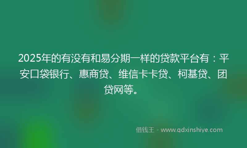 2025年的有没有和易分期一样的贷款平台有：平安口袋银行、惠商贷、维信卡卡贷、柯基贷、团贷网等。