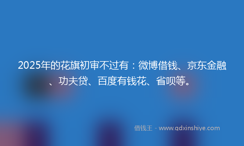 2025年的花旗初审不过有：微博借钱、京东金融、功夫贷、百度有钱花、省呗等。