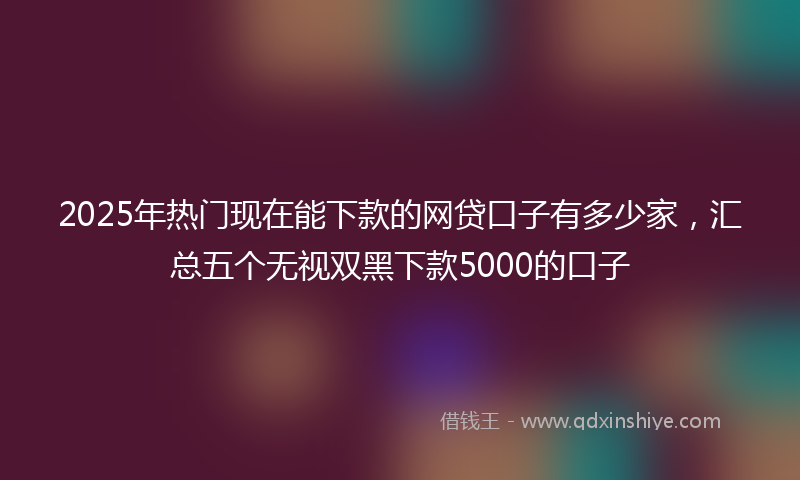 2025年热门现在能下款的网贷口子有多少家，汇总五个无视双黑下款5000的口子