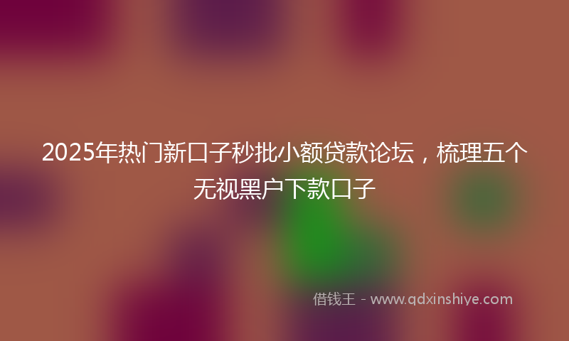 2025年热门新口子秒批小额贷款论坛，梳理五个无视黑户下款口子