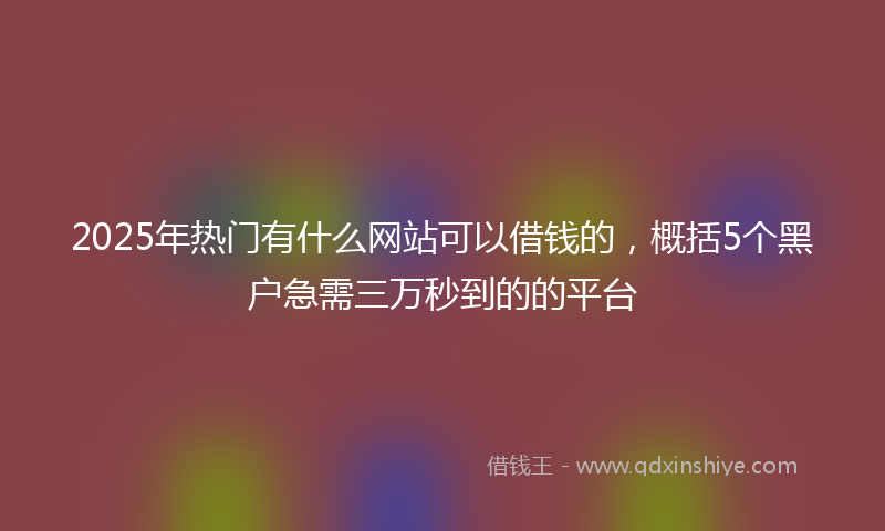 2025年热门有什么网站可以借钱的，概括5个黑户急需三万秒到的的平台