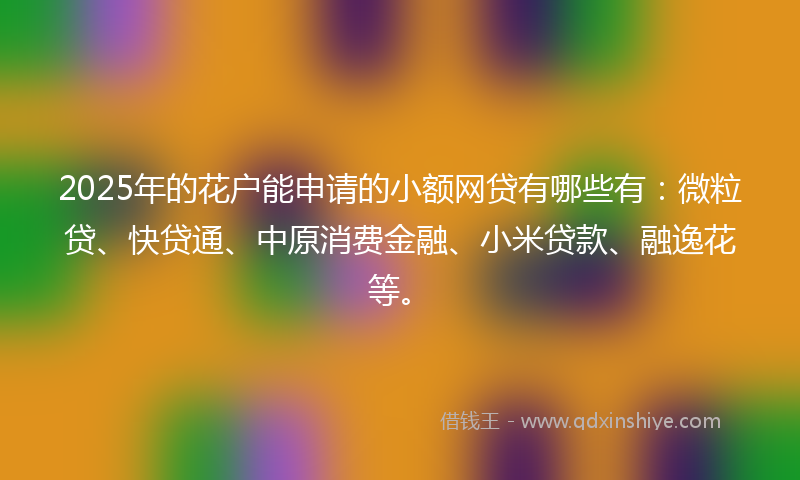 2025年的花户能申请的小额网贷有哪些有：微粒贷、快贷通、中原消费金融、小米贷款、融逸花等。