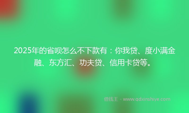 2025年的省呗怎么不下款有：你我贷、度小满金融、东方汇、功夫贷、信用卡贷等。