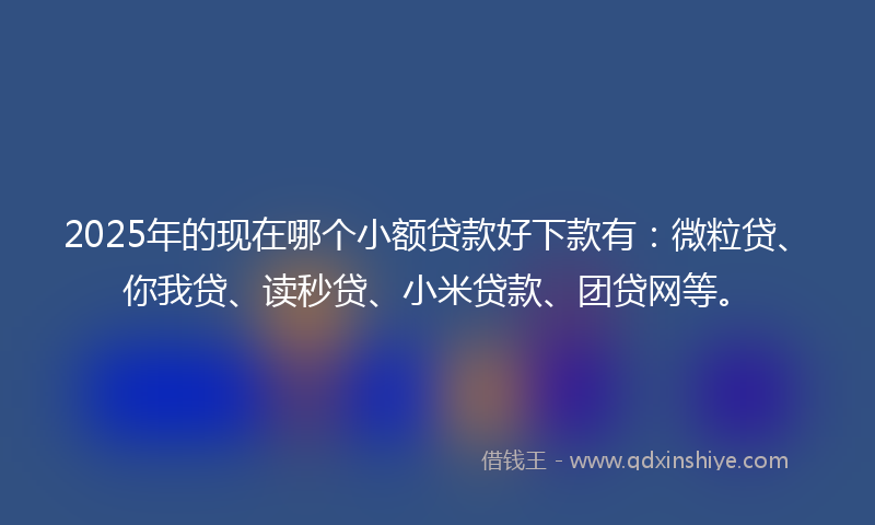 2025年的现在哪个小额贷款好下款有：微粒贷、你我贷、读秒贷、小米贷款、团贷网等。