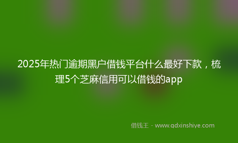 2025年热门逾期黑户借钱平台什么最好下款，梳理5个芝麻信用可以借钱的app