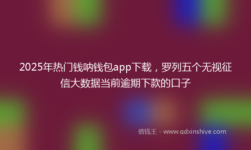 2025年热门钱呐钱包app下载，罗列五个无视征信大数据当前逾期下款的口子