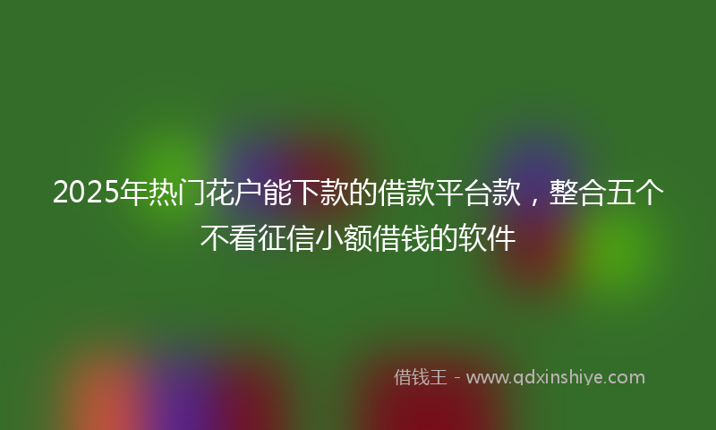 2025年热门花户能下款的借款平台款，整合五个不看征信小额借钱的软件