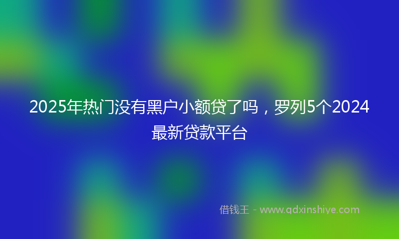 2025年热门没有黑户小额贷了吗，罗列5个2024最新贷款平台