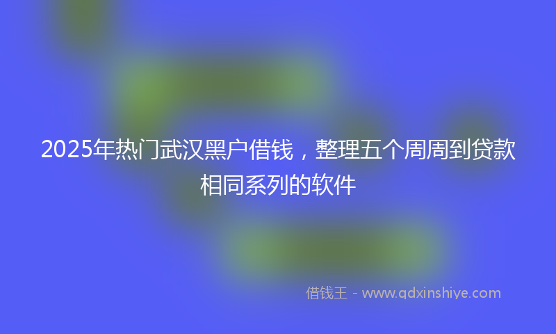 2025年热门武汉黑户借钱，整理五个周周到贷款相同系列的软件
