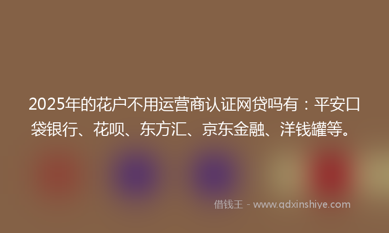 2025年的花户不用运营商认证网贷吗有：平安口袋银行、花呗、东方汇、京东金融、洋钱罐等。