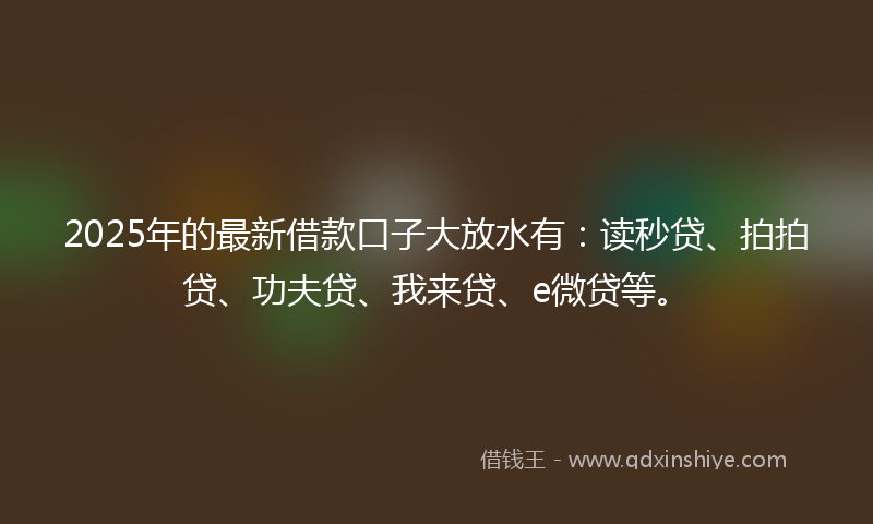 2025年的最新借款口子大放水有：读秒贷、拍拍贷、功夫贷、我来贷、e微贷等。