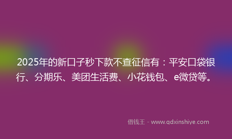 2025年的新口子秒下款不查征信有：平安口袋银行、分期乐、美团生活费、小花钱包、e微贷等。