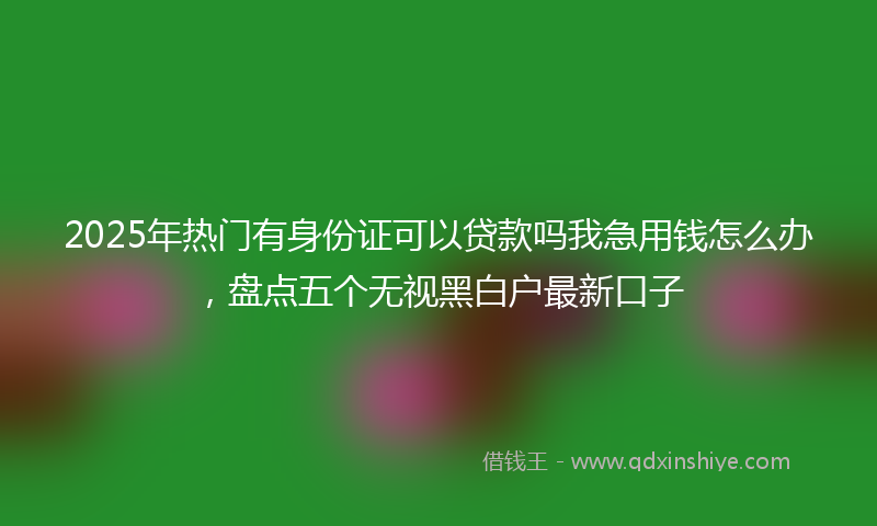 2025年热门有身份证可以贷款吗我急用钱怎么办，盘点五个无视黑白户最新口子