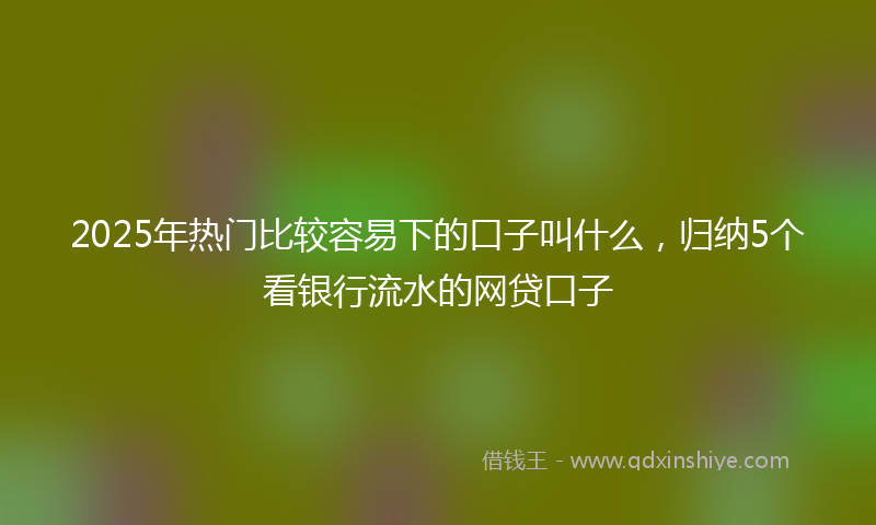 2025年热门比较容易下的口子叫什么，归纳5个看银行流水的网贷口子