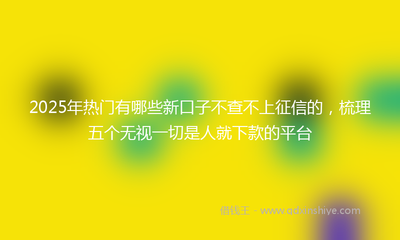 2025年热门有哪些新口子不查不上征信的，梳理五个无视一切是人就下款的平台