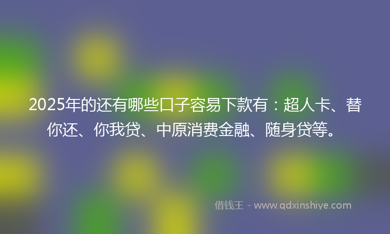 2025年的还有哪些口子容易下款有：超人卡、替你还、你我贷、中原消费金融、随身贷等。