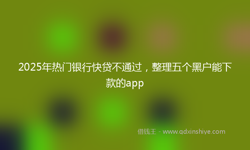 2025年热门银行快贷不通过，整理五个黑户能下款的app