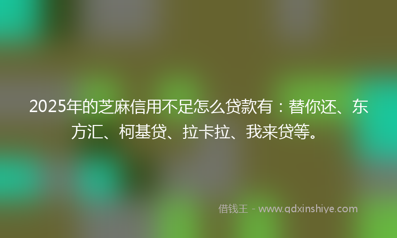 2025年的芝麻信用不足怎么贷款有：替你还、东方汇、柯基贷、拉卡拉、我来贷等。