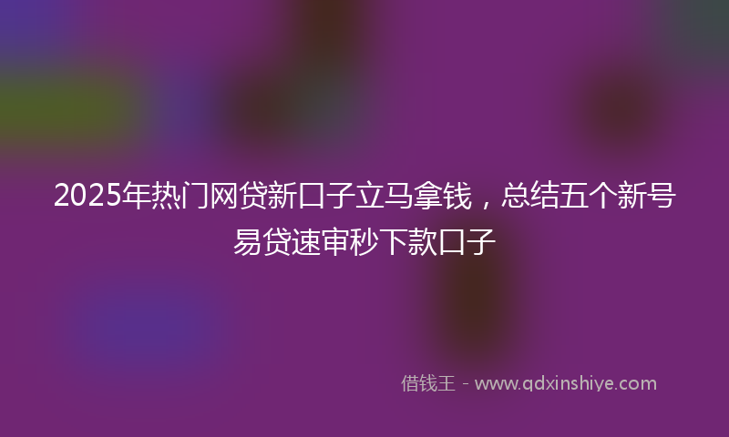 2025年热门网贷新口子立马拿钱，总结五个新号易贷速审秒下款口子