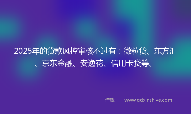 2025年的贷款风控审核不过有：微粒贷、东方汇、京东金融、安逸花、信用卡贷等。