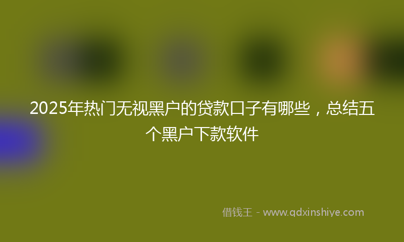 2025年热门无视黑户的贷款口子有哪些，总结五个黑户下款软件