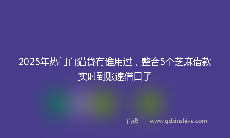 2025年热门白猫贷有谁用过，整合5个芝麻借款实时到账速借口子