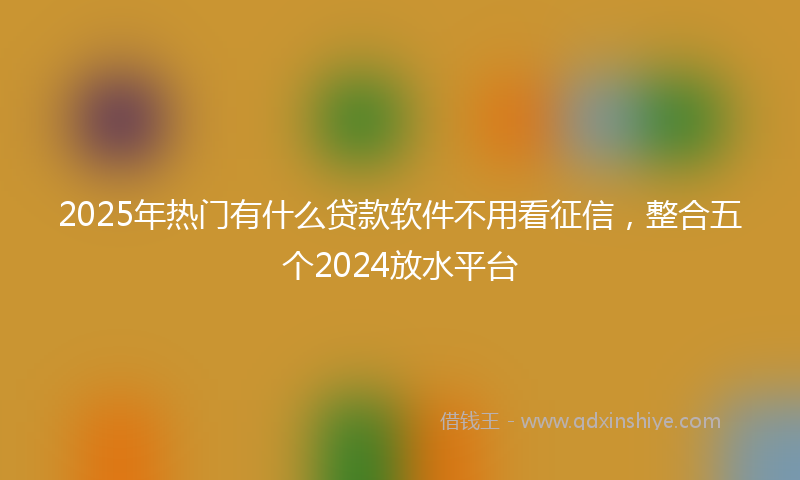 2025年热门有什么贷款软件不用看征信，整合五个2024放水平台
