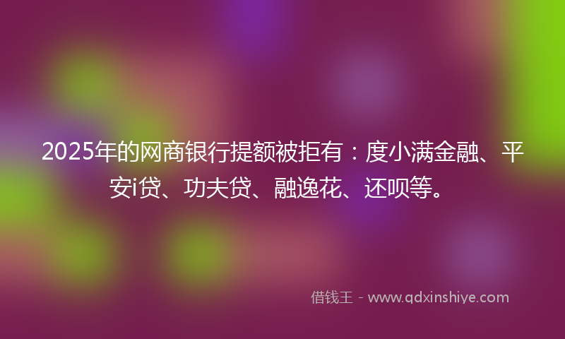 2025年的网商银行提额被拒有：度小满金融、平安i贷、功夫贷、融逸花、还呗等。