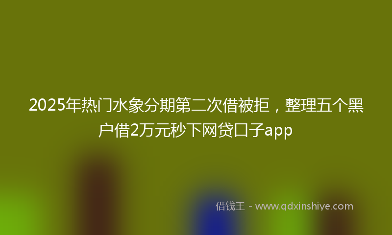 2025年热门水象分期第二次借被拒，整理五个黑户借2万元秒下网贷口子app