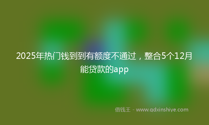 2025年热门钱到到有额度不通过，整合5个12月能贷款的app